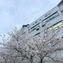 혜성사우나 이미지