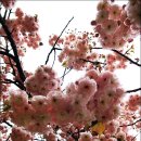 개심사입구 주차장 이미지