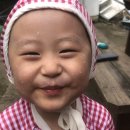 민우네과일