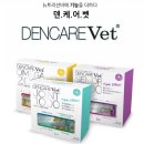 주식회사 그린벳 | [이벤트]에스틴에서 댕댕이를 위한 생일선물을 드려요!!