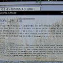 수덕사선미술관 이미지