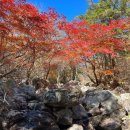 고개너머곰탕 | 2023-10-17 지리산 천왕봉 산행 (중산리 원점회귀 중거 응용코스:중봉,영신봉 탐방)-천왕봉일출...