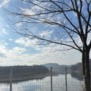 60계치킨경기연천전곡점 | 임진강 캠핑장, 별보이는 연천리버힐캠핑장 a2 명당