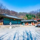 신덕저수지 일원 이미지