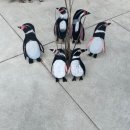 슬로우드로잉미술교습소