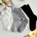 돌돌이네 | 스타킹양말 여름 샌들 얇은 무압박 시스루 돌돌이 망사 레이스 양말 후기