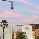 타미나프라자 이미지