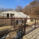 강아지 테마파크 이미지