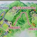 6월22일(토) 태ㆍ강릉숲길걷기/ 동평옥 대장리딩 이미지
