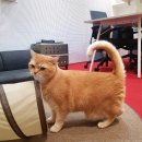 (주)유유제약 이미지