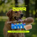 담양동물약국 네이버블로그