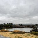 헬로남생이 제주도 데이트명소카페 <b>헬로</b><b>남생이</b>