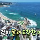 봉포활어회센터 이미지