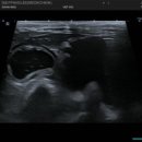 목동찬동물의료센터 이미지