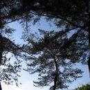 곡신리 이미지