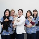 베스트 프렌즈 동물병원 이미지