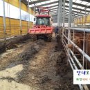 오덕농장 이미지