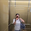 부산진유치원 | 부산 강아지 유치원 맘바이 서면본점 제1회 운동회 추천 및 후기