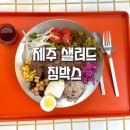 박스짐 | 든든하고 맛있는 제주시샐러드 짐박스 만족후기