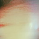 1534 | 갓생 일기 1534일차 - 나의 성장 일기 내몸혁명 다 읽었다 후기 느낀점 꼭 한번 읽어보시길.