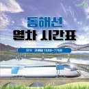 《벚꽃시즌 동해안 철도 개통기념 이벤트 부산여행》 ●여행날짜 : 3월22일(토)~23(일)1박2일 이미지