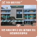 대전샘머리초등학교 이미지