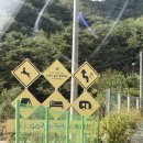 고릴라캠핑 in 속리산 | 충북 보은 캠핑장: 고릴라캠핑 인 속리산 / A19 후기 / 내돈내산