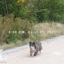 지장1천 이미지