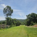 힐사이드 이미지