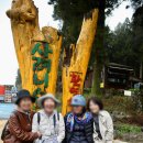 70대 친구들과 함께한 제주여행, 사려니숲길·휴애리·에코랜드 스냅촬영 감동 후기 | 제주길동무
