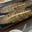 갯마을오징어포차 네이버블로그