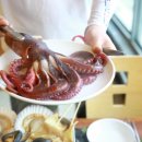 해물의제왕 이미지