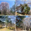 북부도서관 남편 이미지