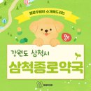 삼척종로약국