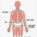 청소년발달 이미지