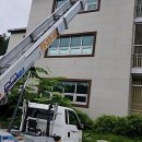 [학습多방]손바느질로 만드는 나만의 애착인형 | 짐 싸는 날, 우리 집 비상사태! 아이와 함께 해외 체류장기 출장 시 '보관이사' 꼼꼼 체크리스트