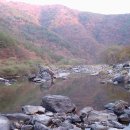 산울림 농장 이미지