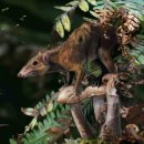 포유테크 이미지