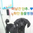 하안동물병원 이미지