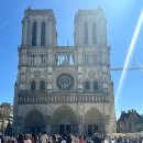 영원약국 | 여행 끝! (안사면 0원) 사면 영원 템들