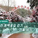 섬과 하루 이미지