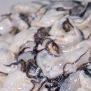 이건목장 | 통영생굴목장 통영생굴 후기｜지금 제철이라 더 맛있는 이유🤍