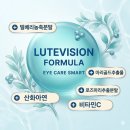 나의 백내장 치료 후기 (수술 X)