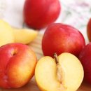 장사농장 이미지