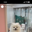 몽그라니 이미지
