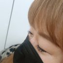 쩡이LASH