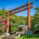 충효복사 이미지