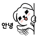 미스터앤 미세스멍 원주점 네이버블로그