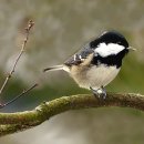 시온여성병원 이미지