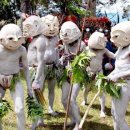 뉴태평양 이미지